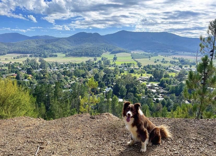 Things To Do in Bright