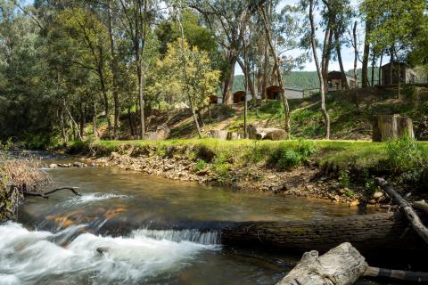 Bright Caravan Parks at Camp Crusty Bright Caravan Park